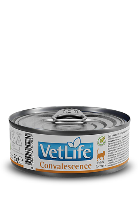 VETLIFE GATO CONVALECIENTE 85G