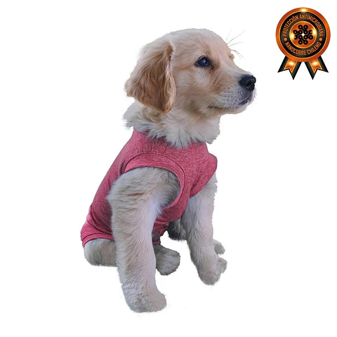 CUNATEX BODY DE COBRE PERRO T.3 4.5 a 5.5 kg