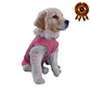 CUNATEX BODY DE COBRE PERRO T.1 2.5 a 3.5 kg - Miniatura 1