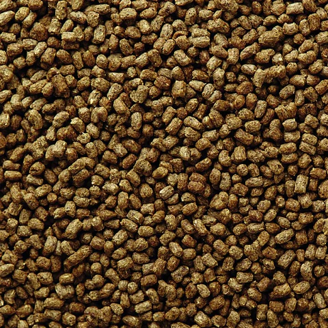 MAZURI ERIZO 1,5 KG