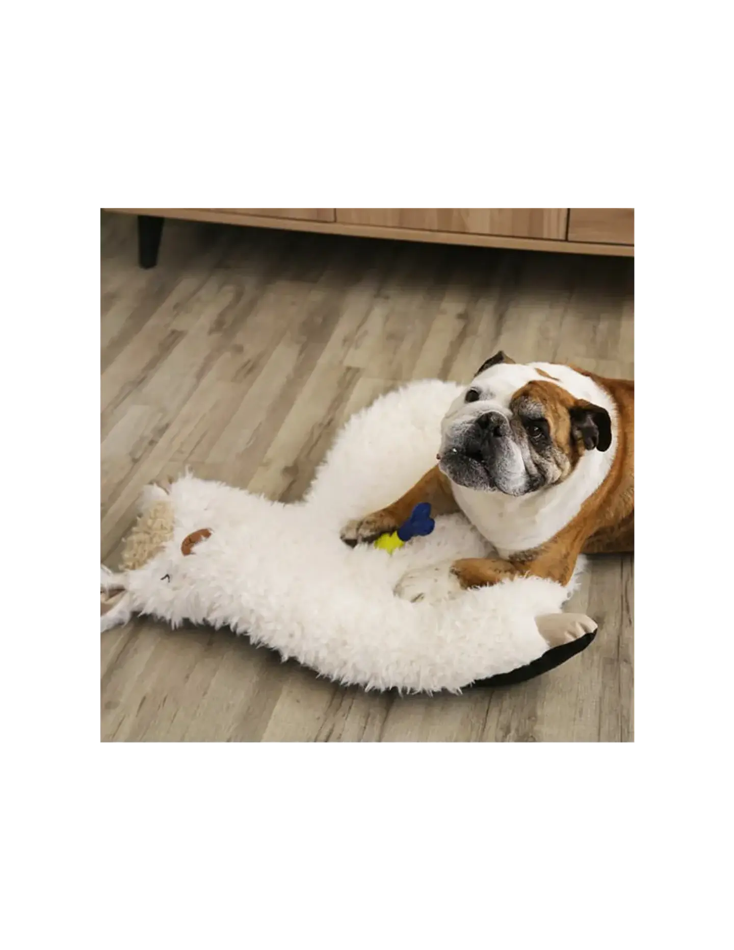 CAMA LLAMA 65x72 CM 2