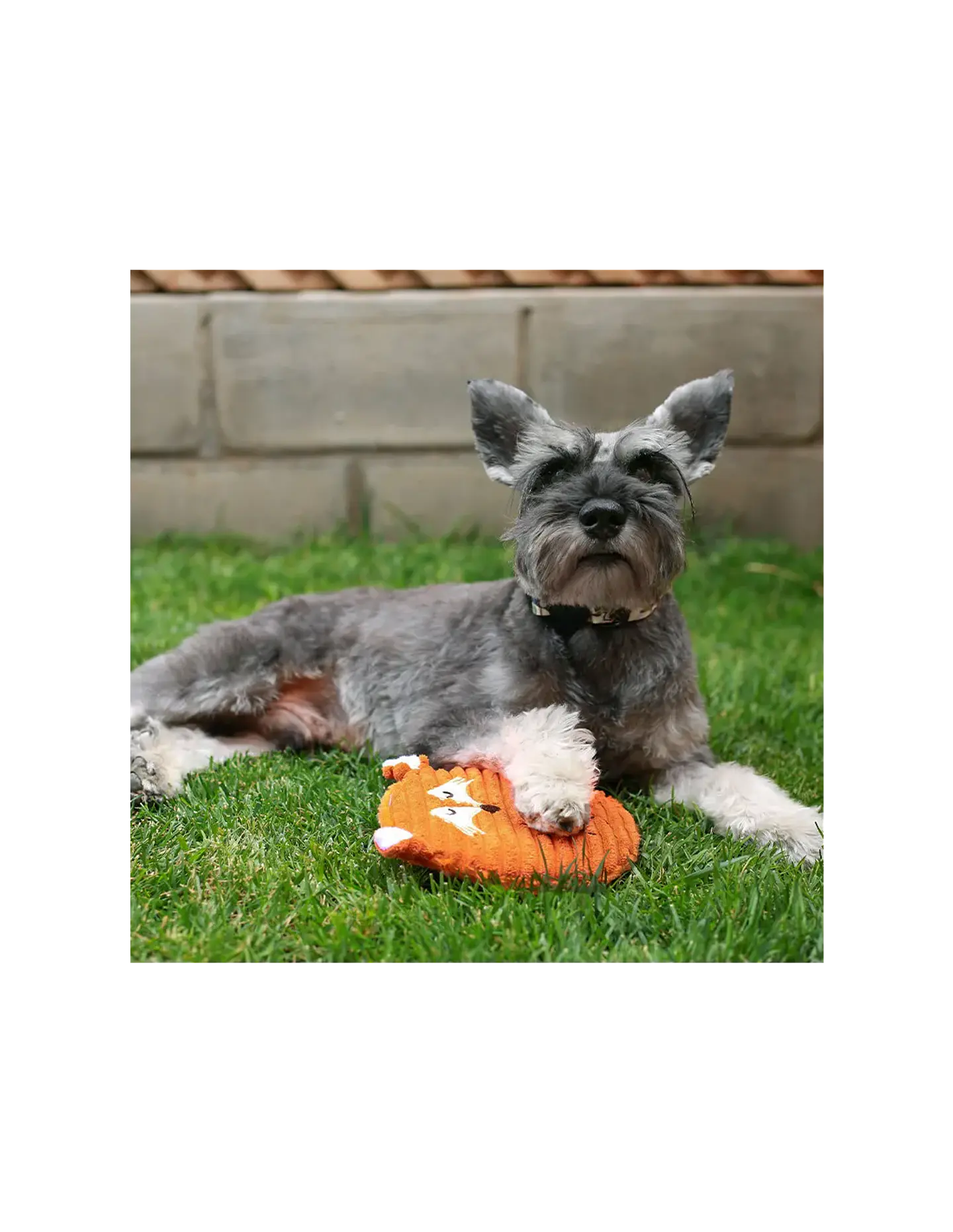 JUGUETE PLUSH CIRCULAR ZORRO CON SONIDO 3