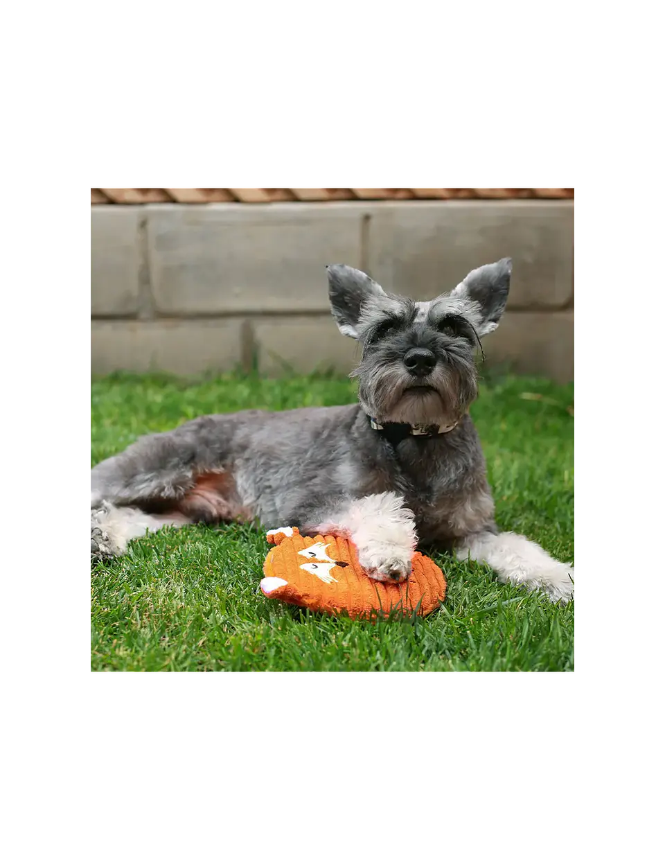 JUGUETE PLUSH CIRCULAR ZORRO CON SONIDO 3