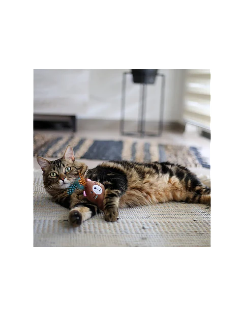 JUGUETE GATO MAXI TOY OSO BOHO 21 CM