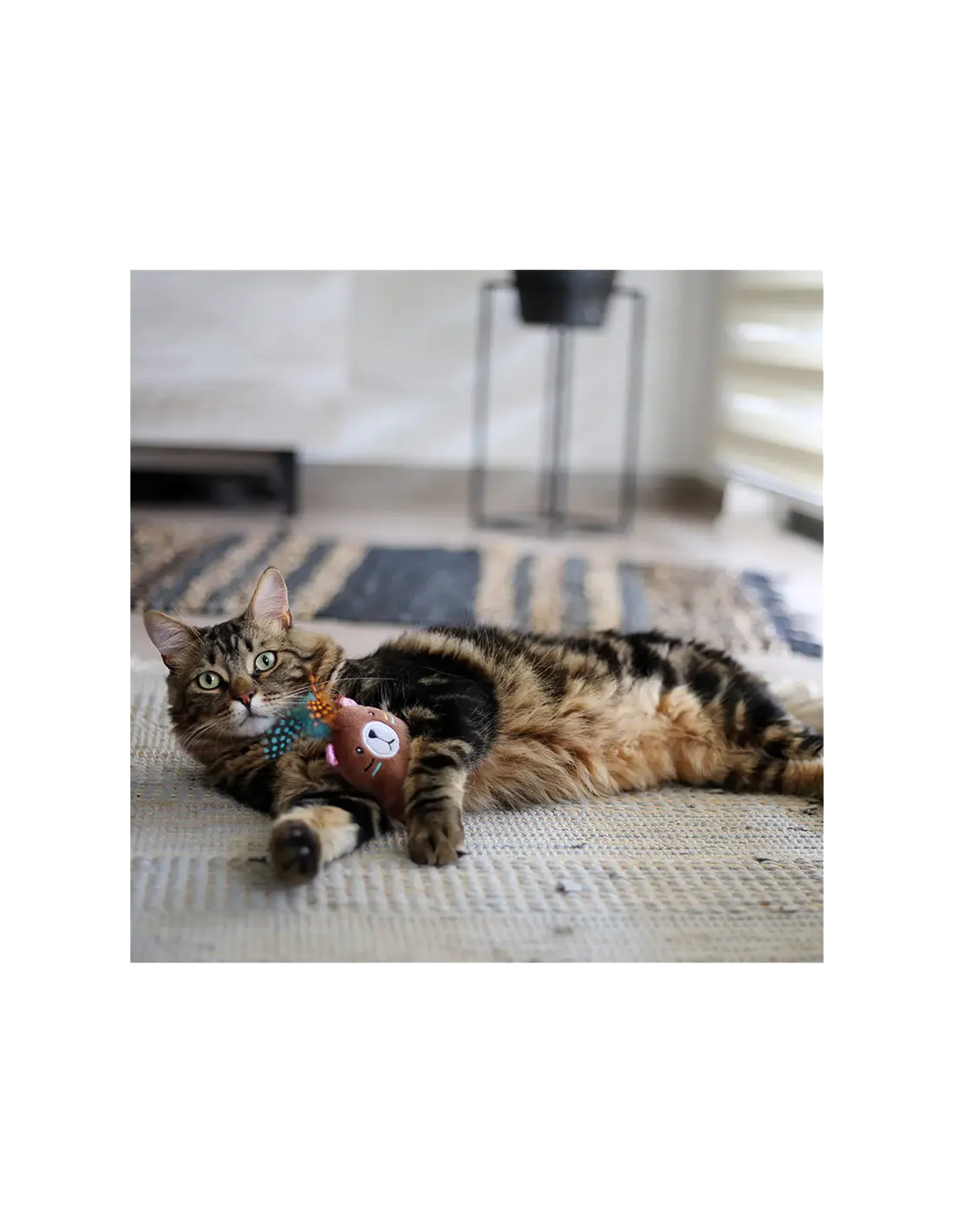 JUGUETE GATO MAXI TOY OSO BOHO 21 CM 2