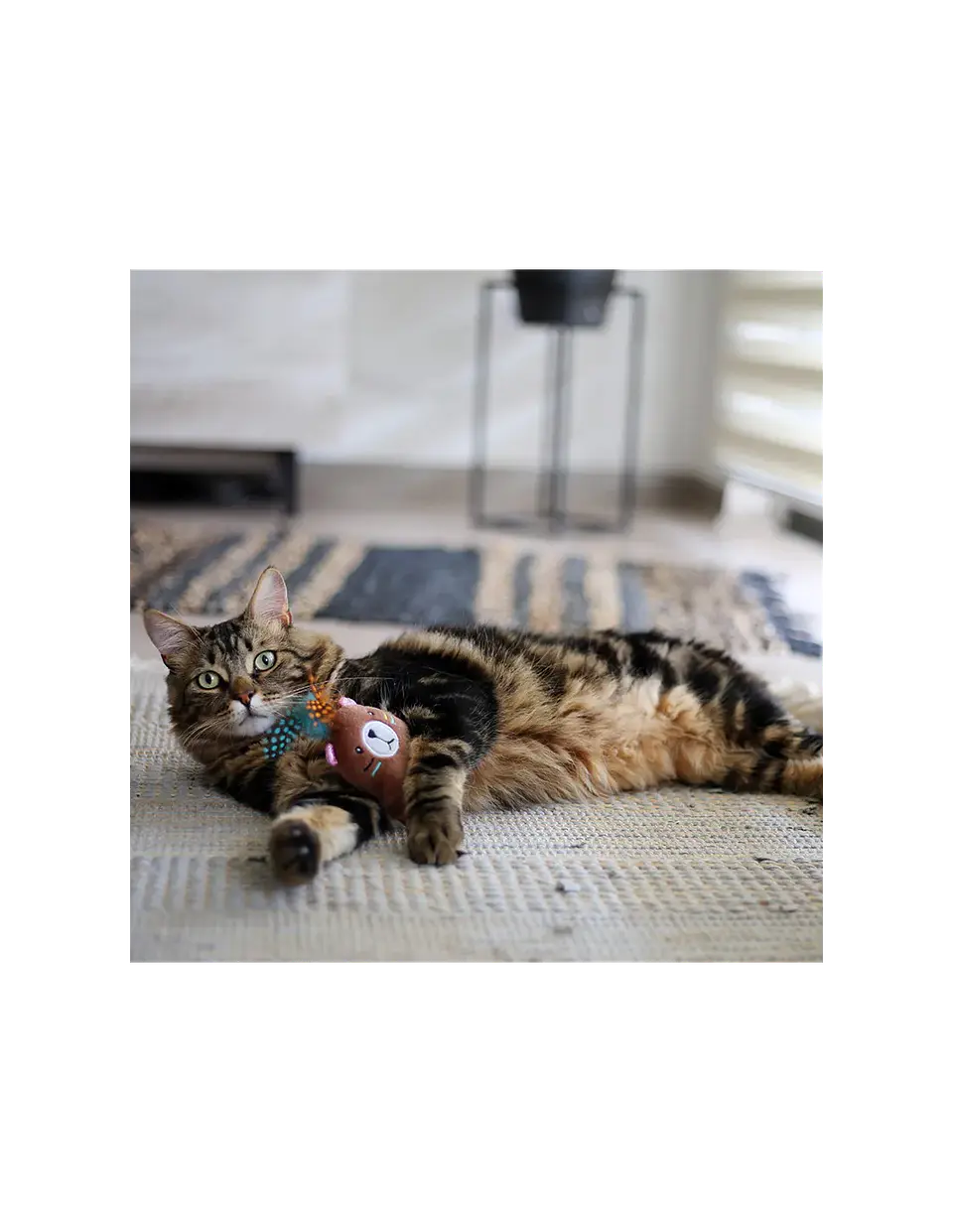 JUGUETE GATO MAXI TOY OSO BOHO 21 CM 2