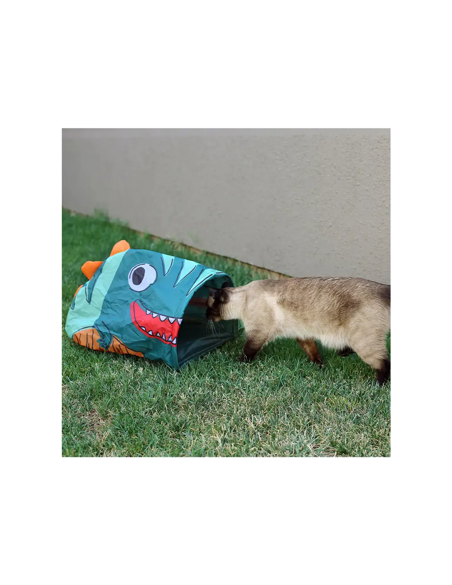 JUGUETE GATO TUNEL CREPITANTE DINOSAURIO 55X33X24 CM 2