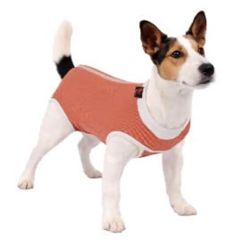 WONDER BODY POST OPERATORIO TALLA 4XL 1