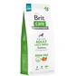 BRIT CARE ADULT LARGE SALMON 12 KG - Miniatura 2