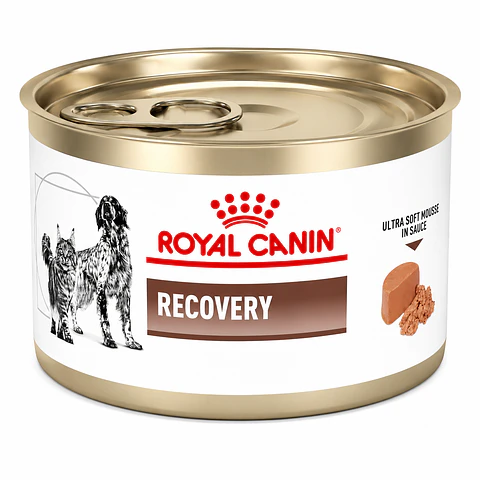 ROYAL CANIN Recovery 145g