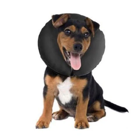 COLLAR INFLABLE MARBEN PROCOLLAR XS