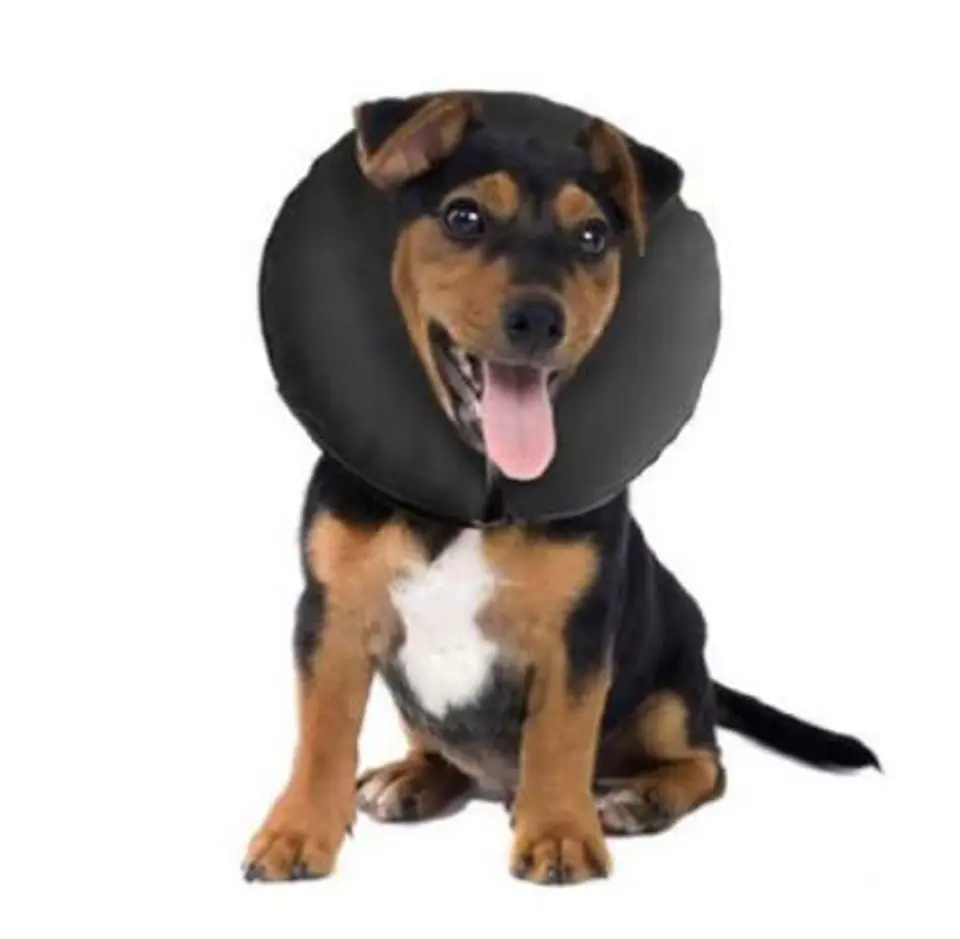 COLLAR INFLABLE MARBEN PROCOLLAR XS 2