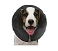 COLLAR INFLABLE MARBEN PROCOLLAR S - Miniatura 2
