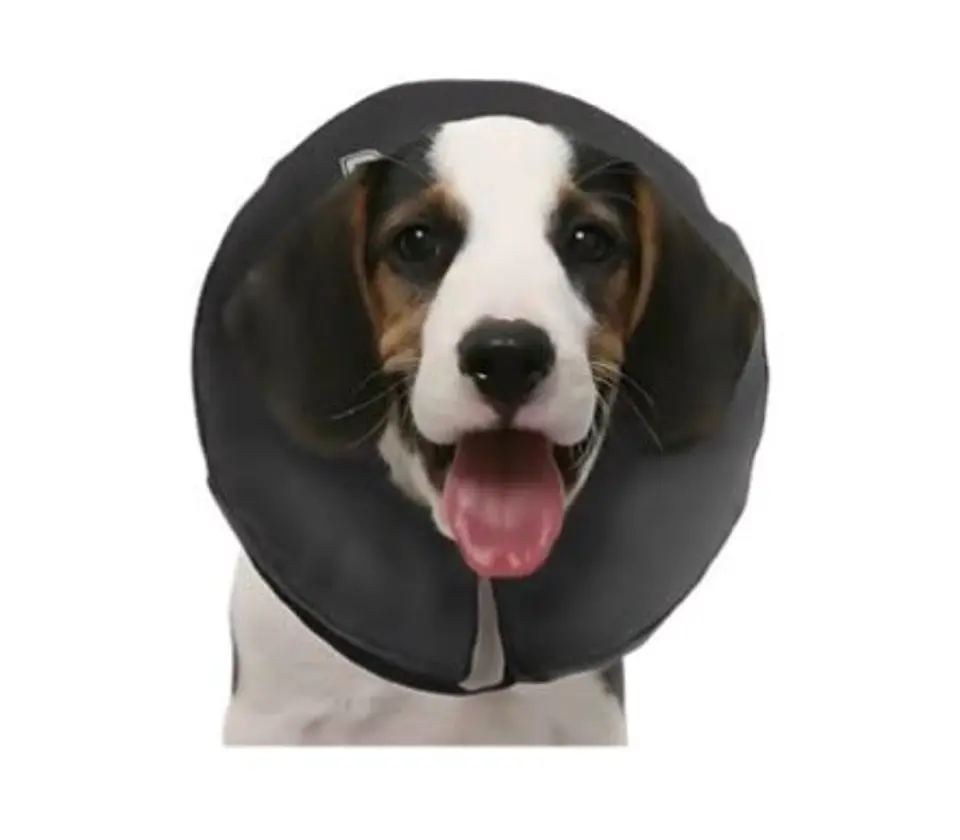 COLLAR INFLABLE MARBEN PROCOLLAR S 2