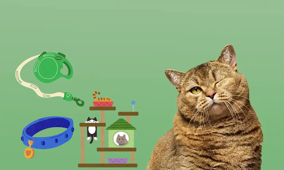 ACCESORIOS PARA GATOS 