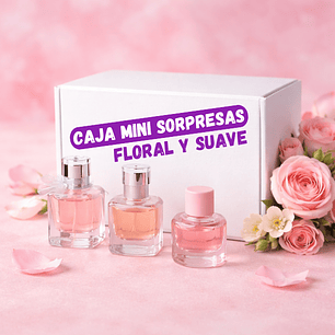Caja Mini Sorpresas - Floral y Suave 