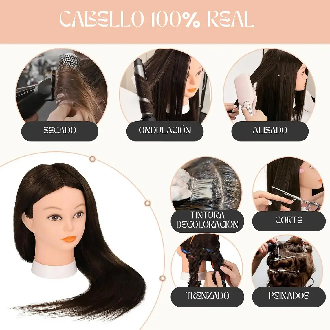 Cabeza Estudio 100% Natural 60cm Con Pedestal 3