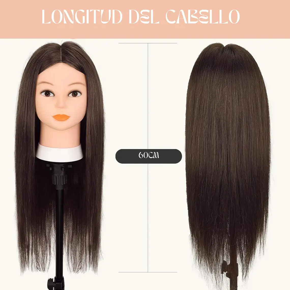 Cabeza Estudio 100% Natural 60cm Con Pedestal 4