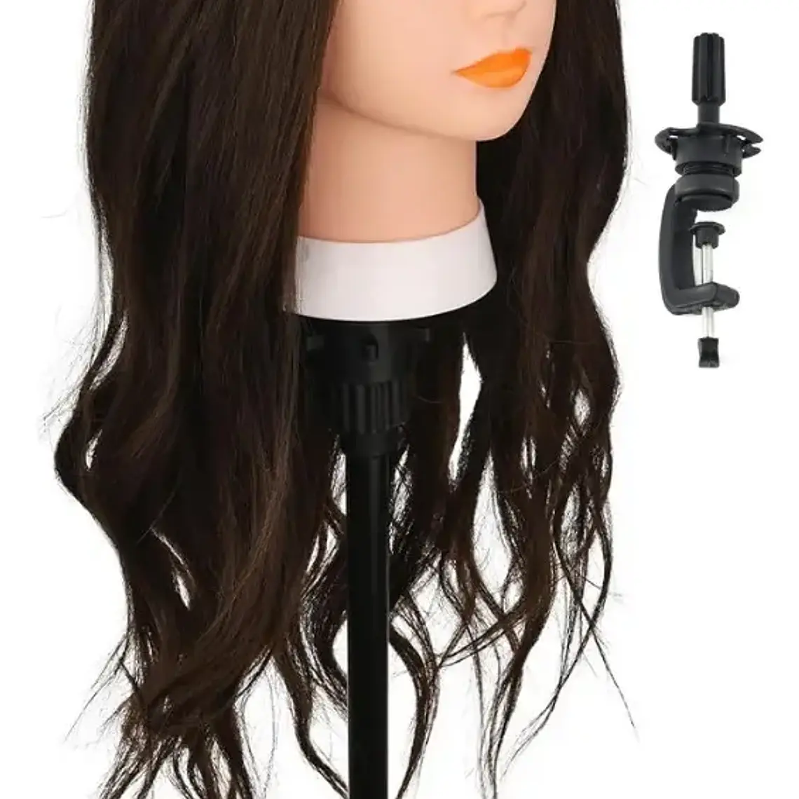 Cabeza Estudio 100% Natural 60cm Con Pedestal 2