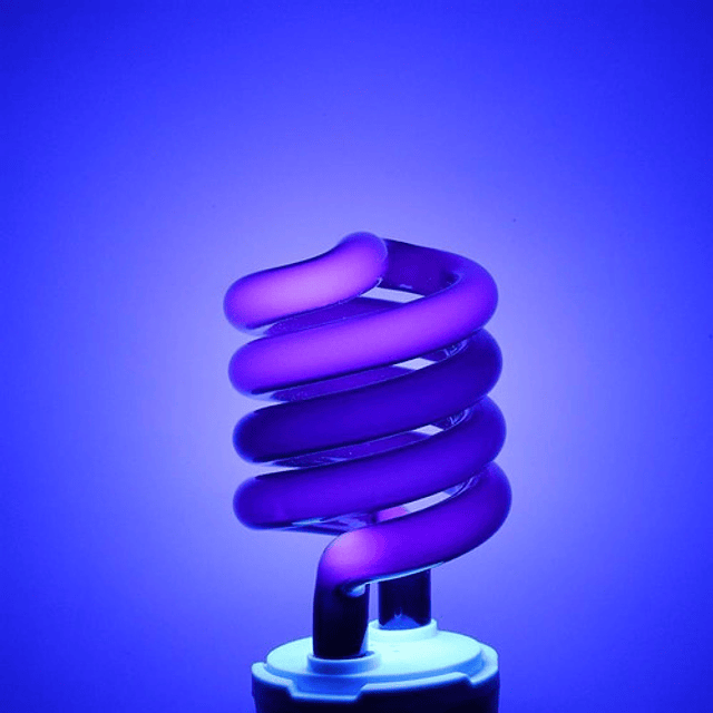 Ampolleta Ultravioleta Soquete Normal Luz Negra