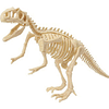 Kit Fósil Dinosaurio Esqueleto Paleontólogo Maqueta Plástica