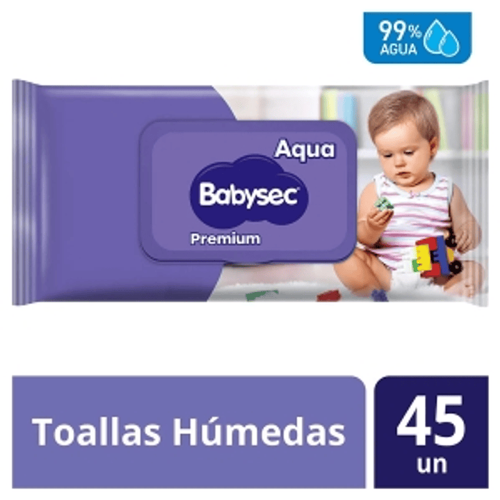 Toallas Húmedas Babysec 45u. 1