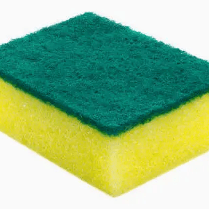 Esponja por unidad 1