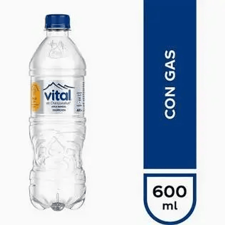 Agua con gas Vital botella de 600 ml. 1