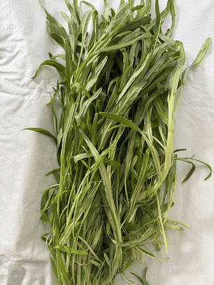 lechuga corazón hueca 空心菜 KONG  XIN  CAI