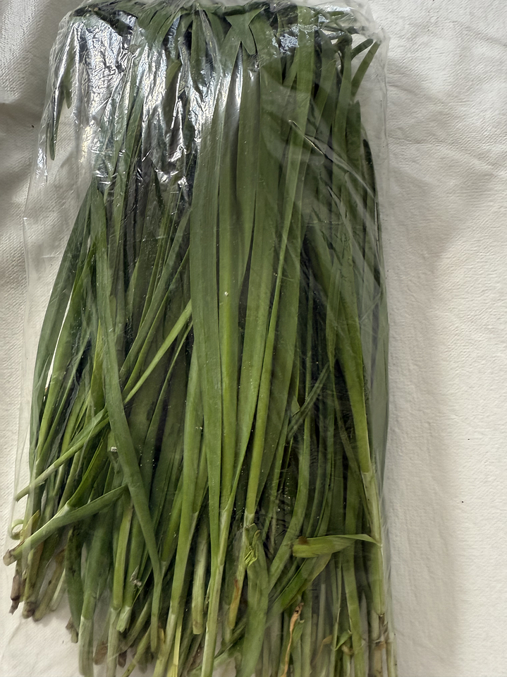 cebollino 韭菜 JIU  CAI 1