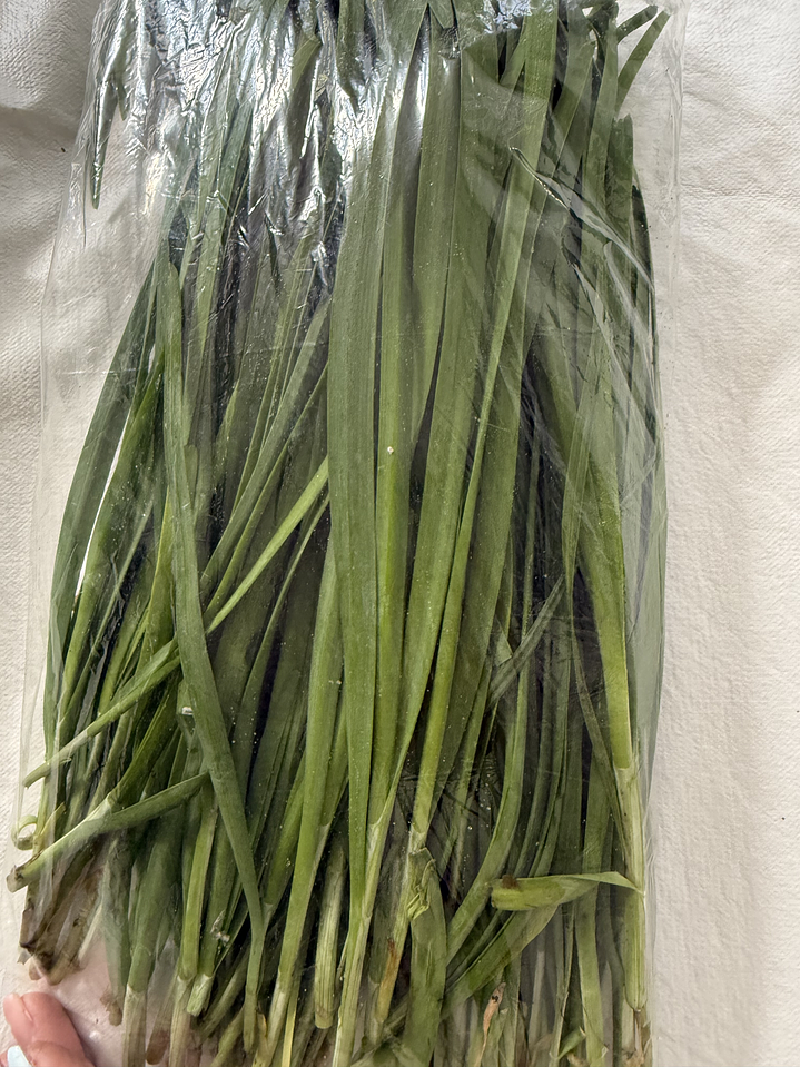 cebollino 韭菜 JIU  CAI 2