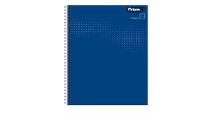 CUADERNO UNIVERSITARIO 100 TORRE LISO COMPOSICION