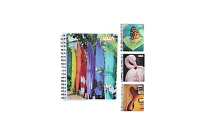 CUADERNO UNIVERSITARIO 100 COLON LITO M7