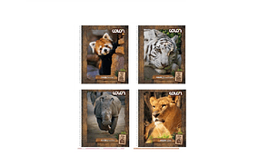 CUADERNO UNIVERSITARIO 100 COLON BUIN ZOO