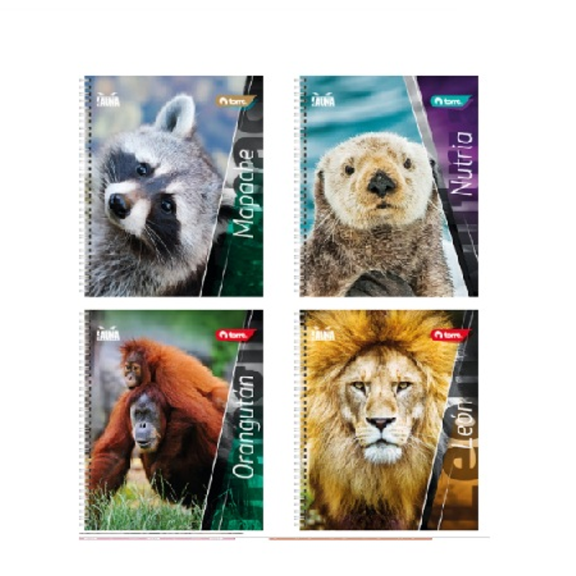 CUADERNO UNIVERSITARIO 100 TORRE CLASICO FAUNA 1