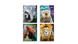 CUADERNO UNIVERSITARIO 100 TORRE CLASICO FAUNA