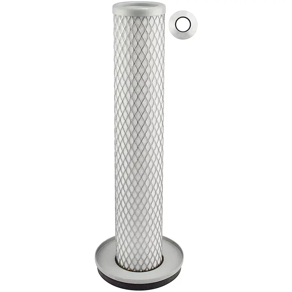 Filtro Aire Pa2602 Baldwin 1