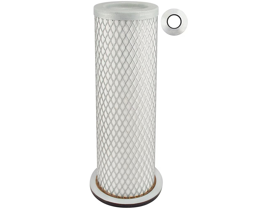 Filtro Aire Pa2689 Baldwin 1