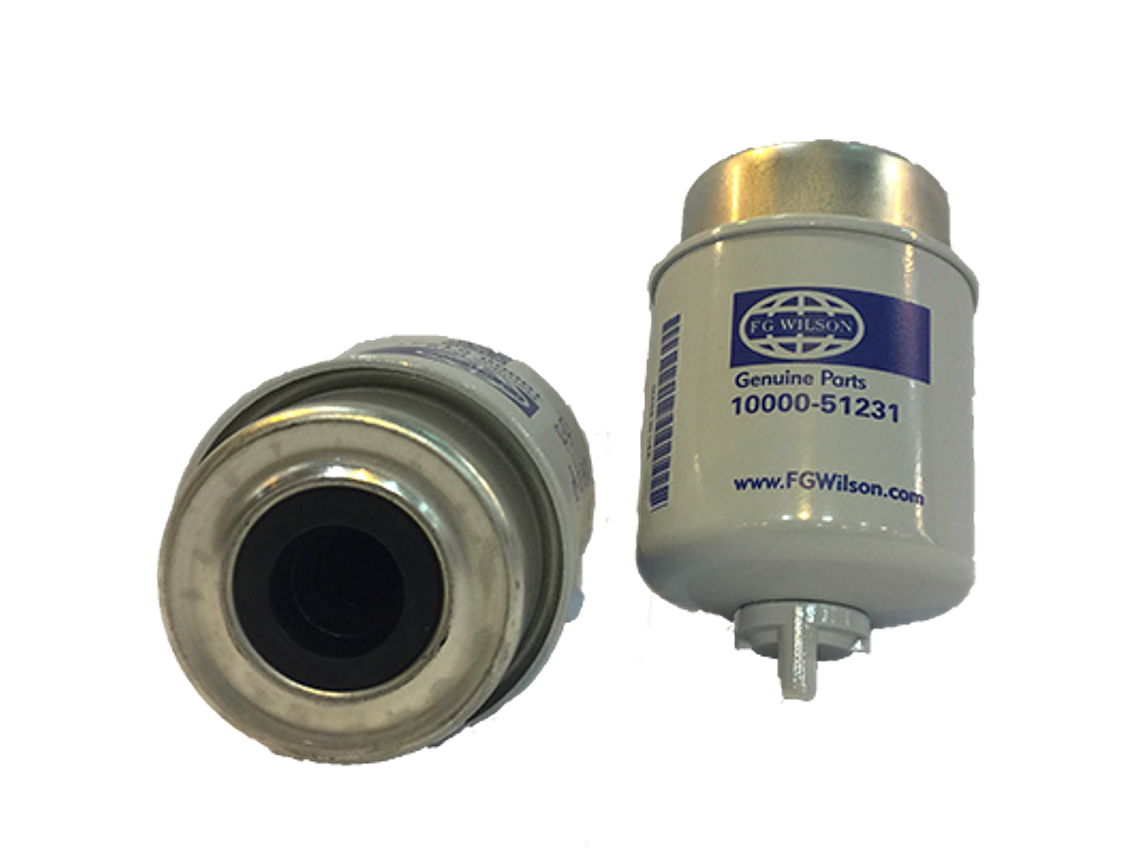 Fg1000051231 Filtro Combustible Fg Wilson 1