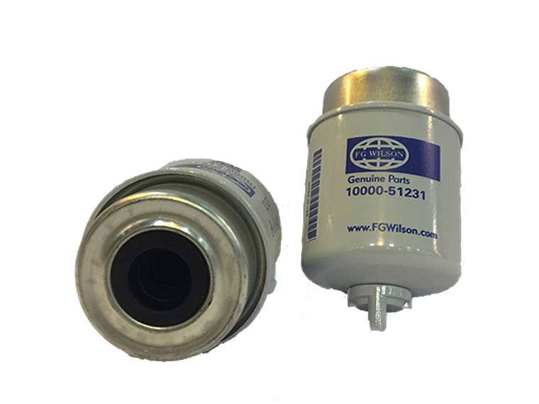 Fg1000051231 Filtro Combustible Fg Wilson 1
