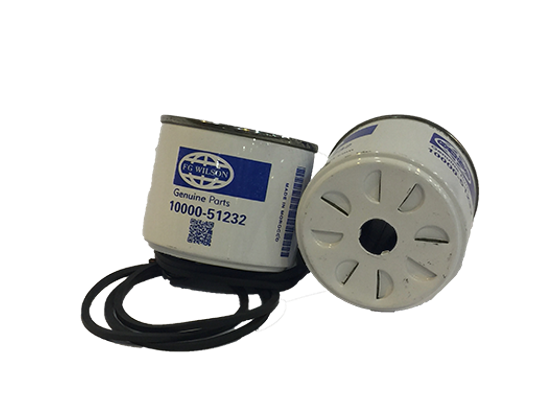 Fg1000051232 Filtro Petroleo Fg Wilson 1