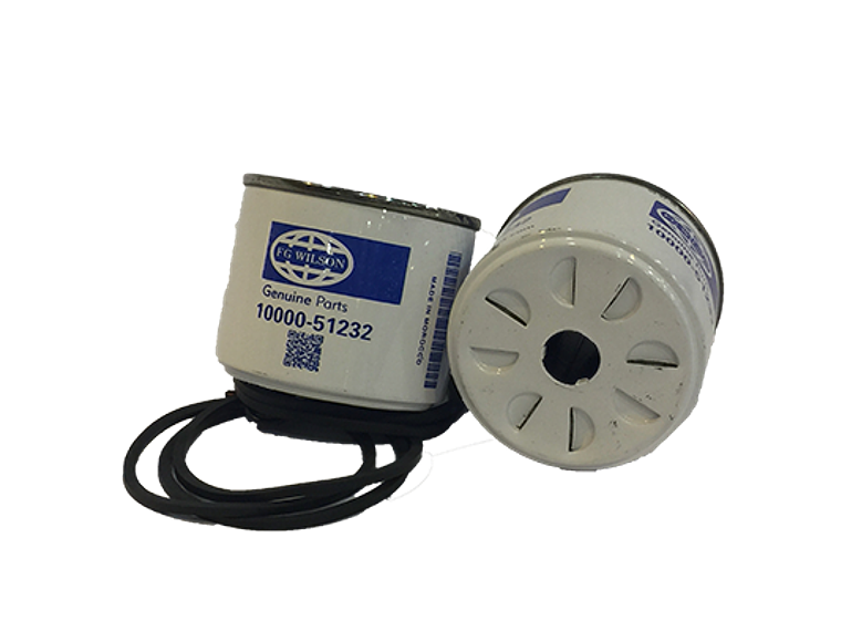 Fg1000051232 Filtro Petroleo Fg Wilson 1
