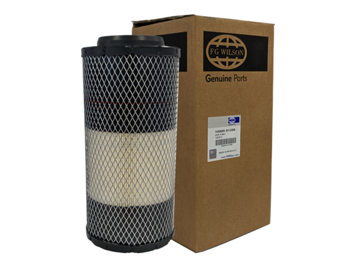 Fg1000051286 Filtro Aire Fg Wilson 1
