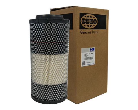 Fg1000051286 Filtro Aire Fg Wilson