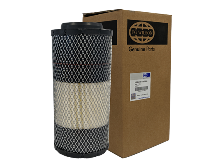 Fg1000051286 Filtro Aire Fg Wilson 1