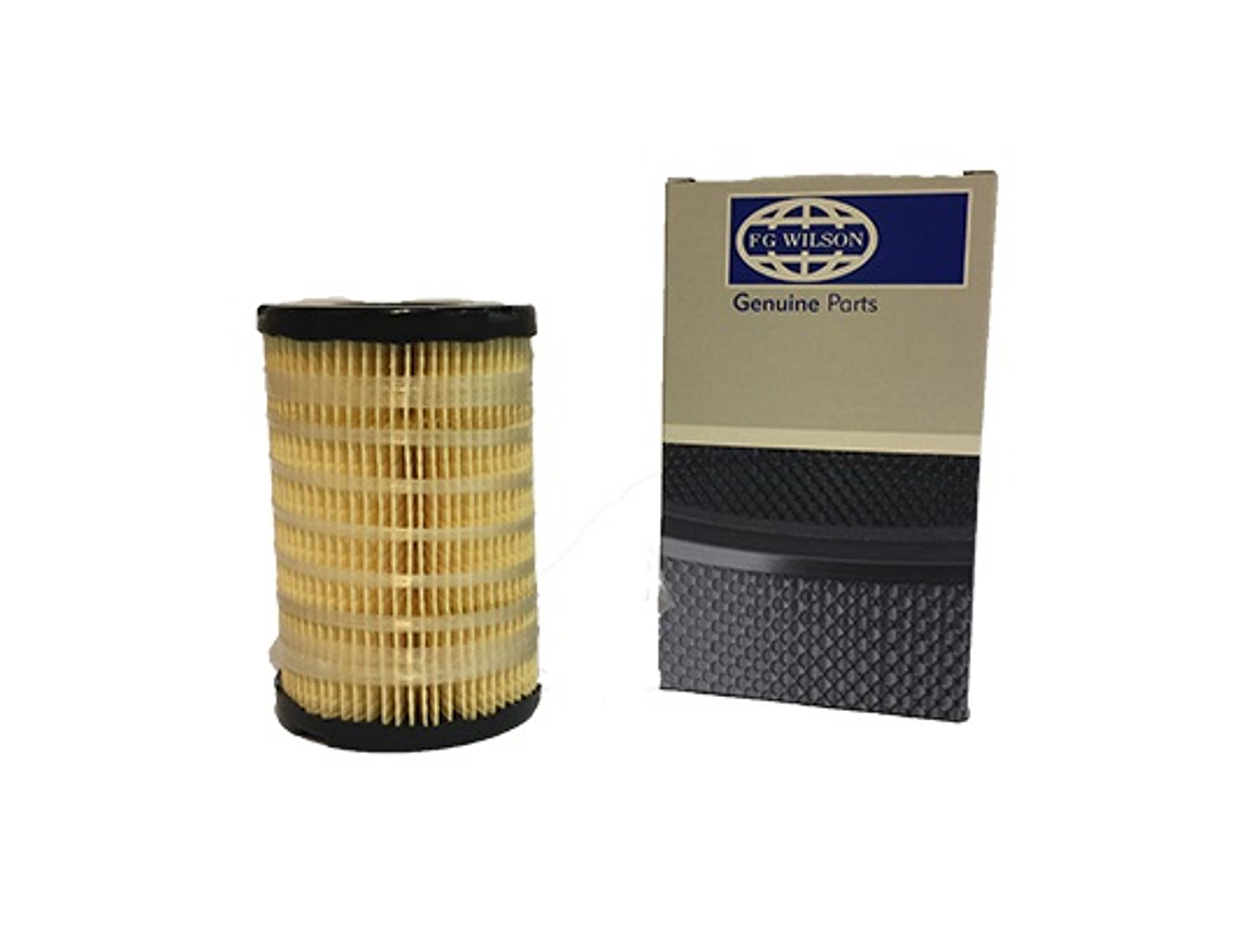 Fgw1000059650 Filtro Combustible Fg Wilson (26560163 Fs20088) 1