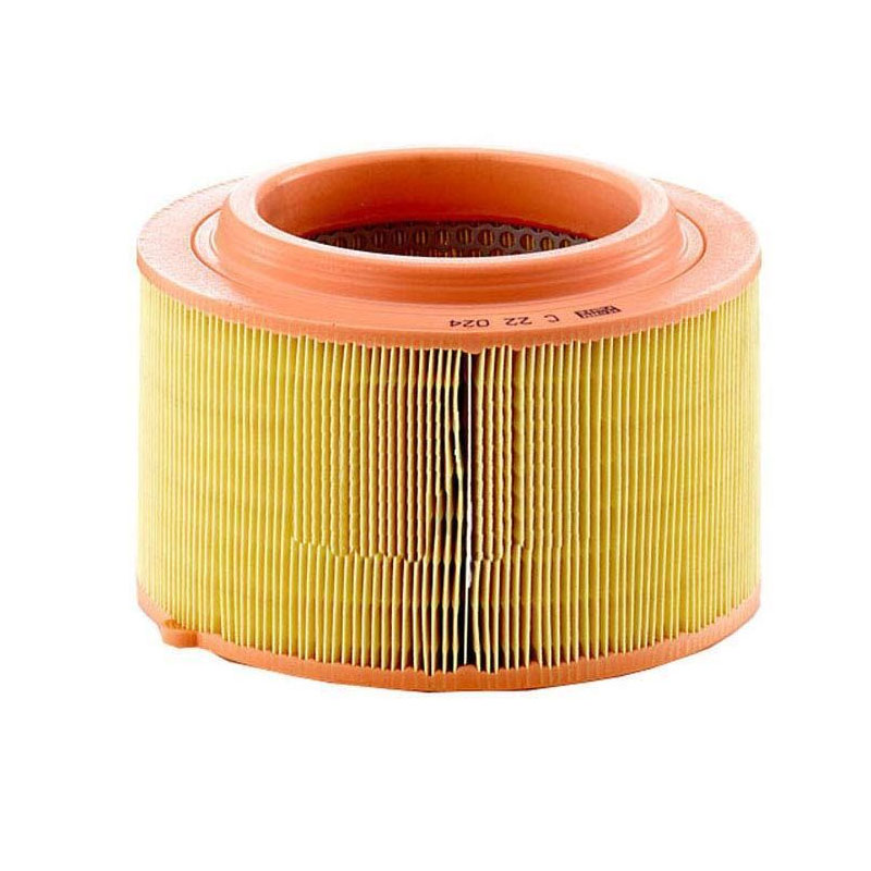 Filtro Aire C22024 Marca Mann