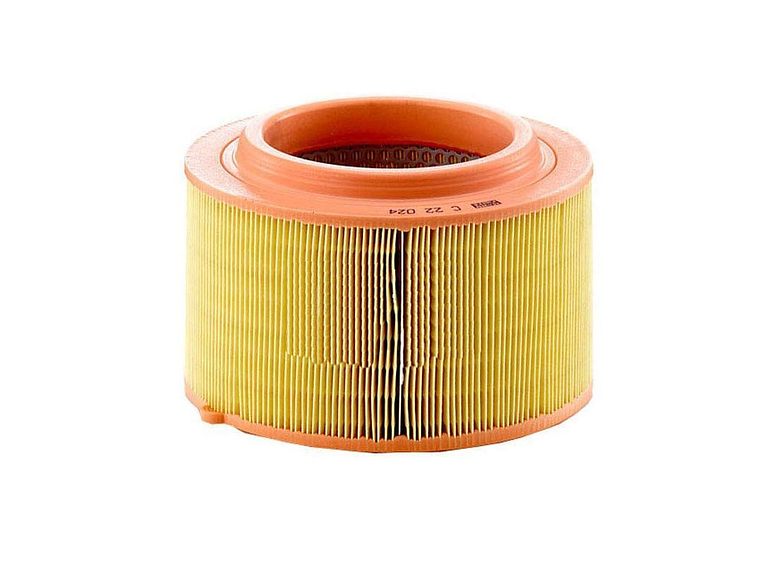  Filtro Aire C22024 Marca Mann 1