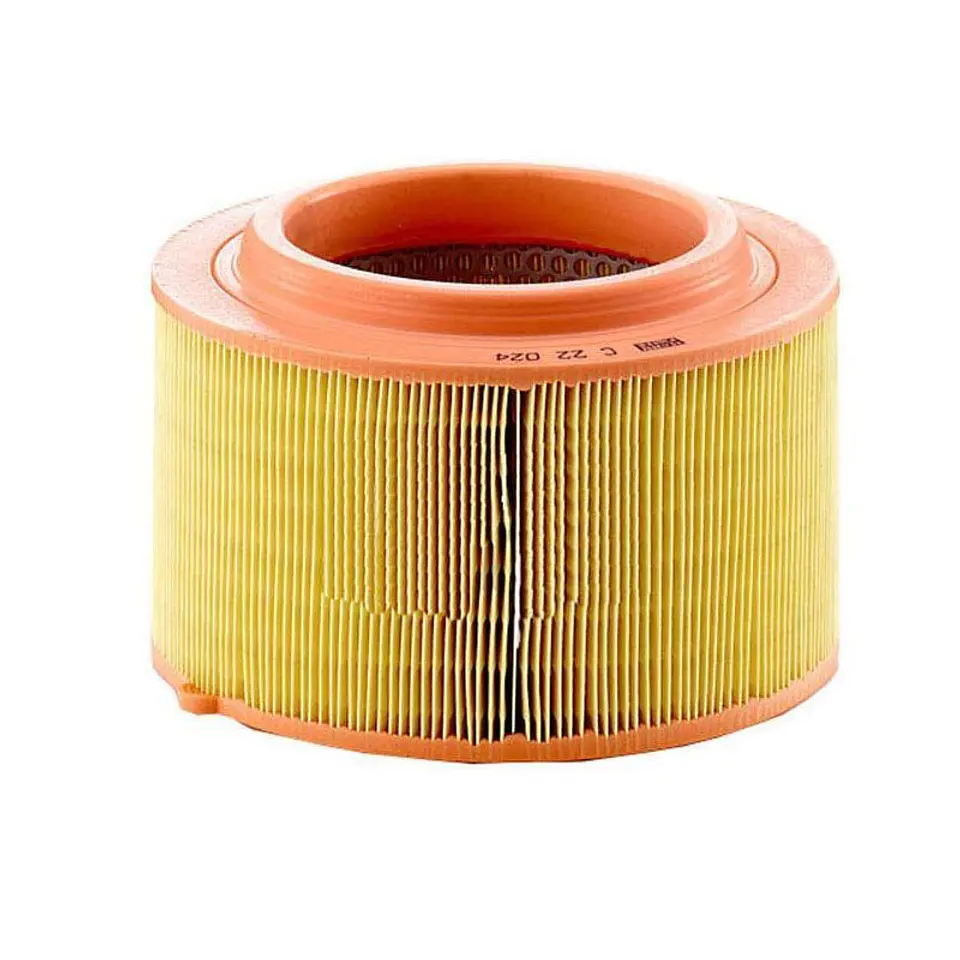  Filtro Aire C22024 Marca Mann 1