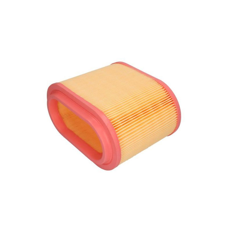 Filtro Aire C24196 Marca Mann